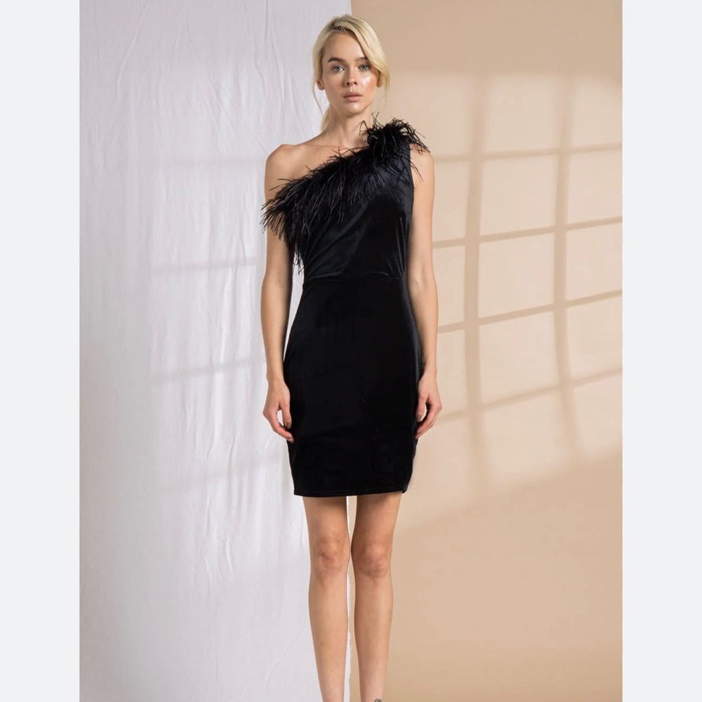 NWOT feathered velvet one shoulder mini dress